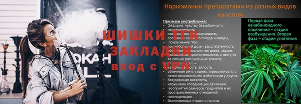 гашик Беломорск