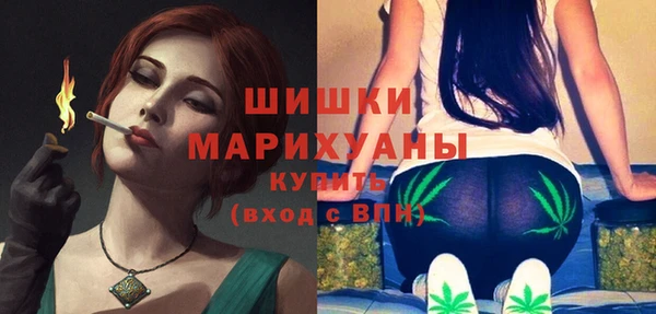 стаф Баксан